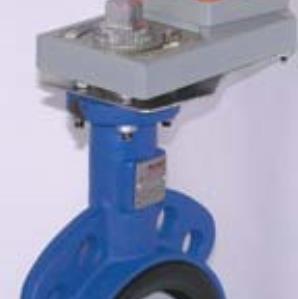 Belimo D(U)6 Series Butterfly Valve