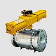 Pietro Fiorentini Deltaflux Valve