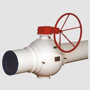 Pietro Fiorentini Fully Welded Valve