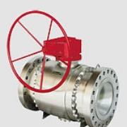 Pietro Fiorentini Trunnion Valve