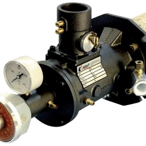 Riello BP D.O Dual Fuel Burner